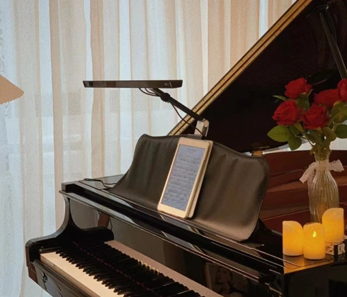 Professional Piano lamp in our studio, Special for the grand piano